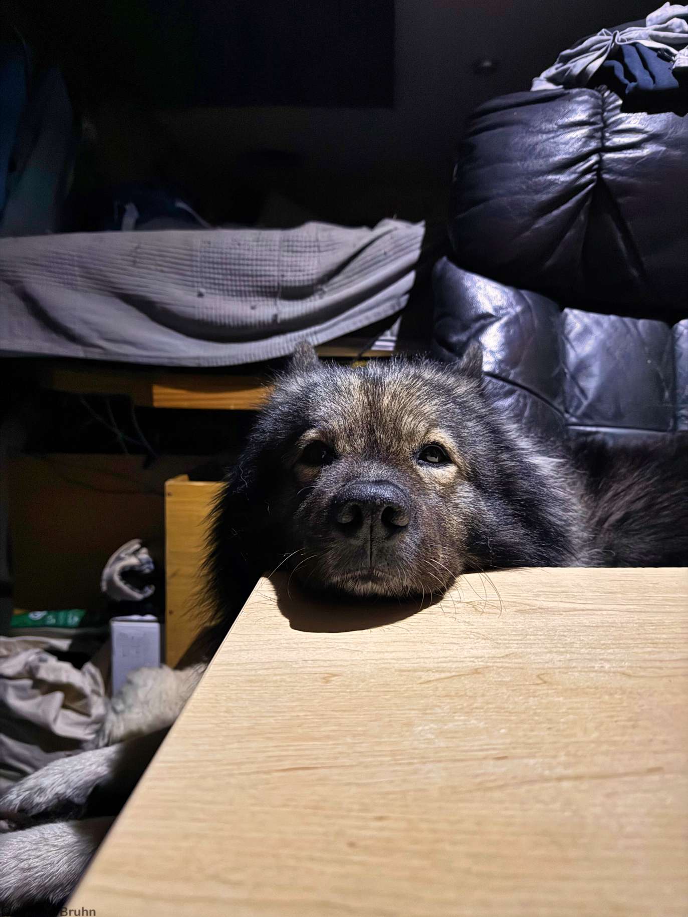 Q wartet sehnsüchtig